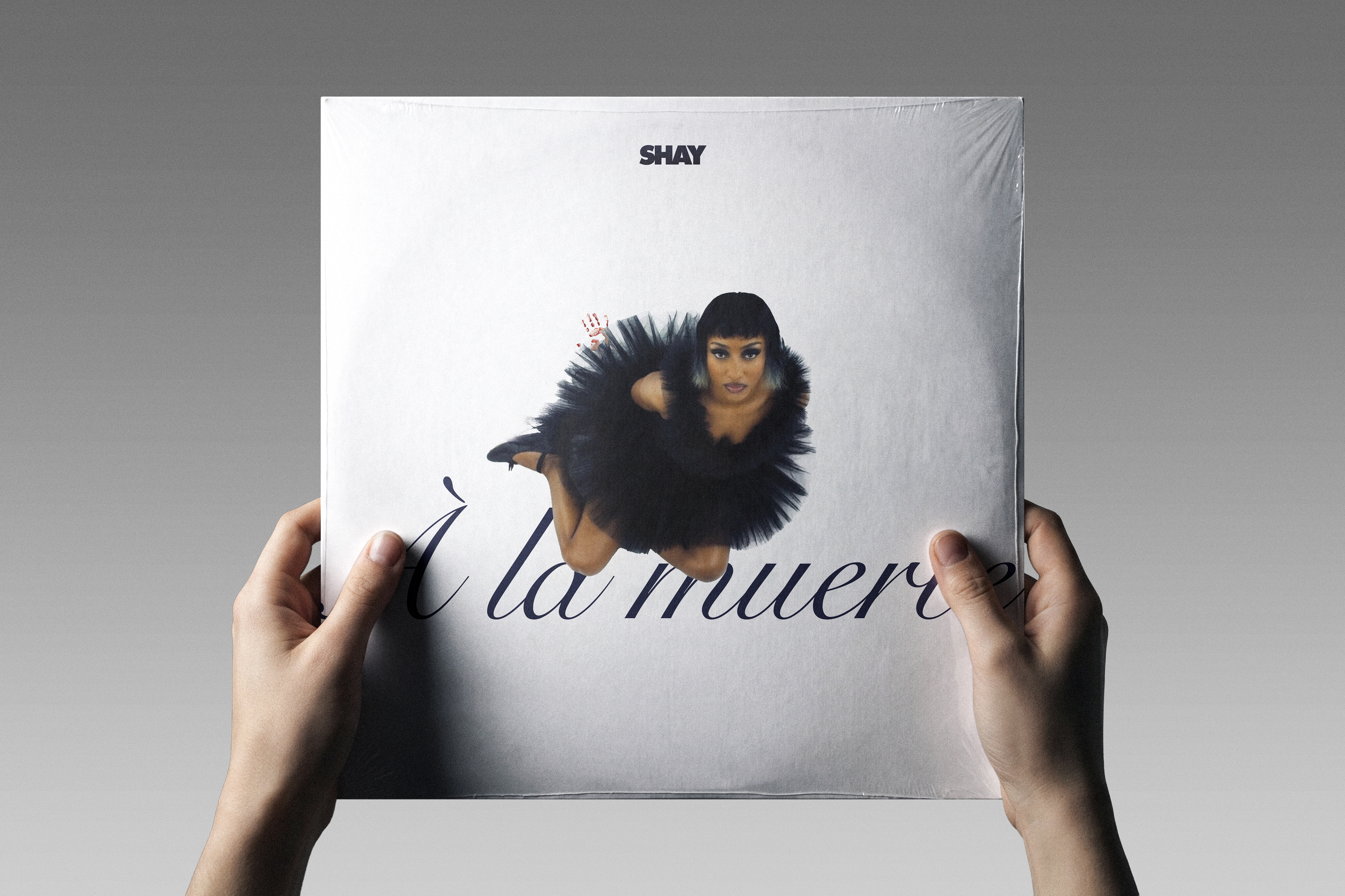 Mockup 6